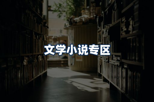 文学小说PDF展示